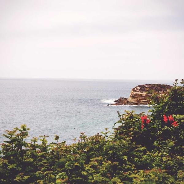 Có nên mua máy lọc không khí không?